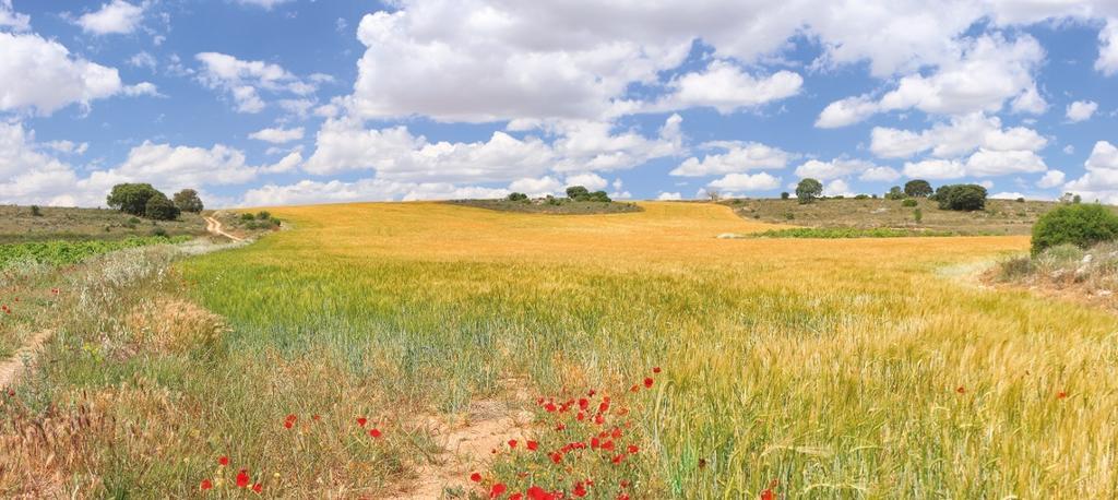 Hotel Rural Plaza Mayor Chinchón Εξωτερικό φωτογραφία